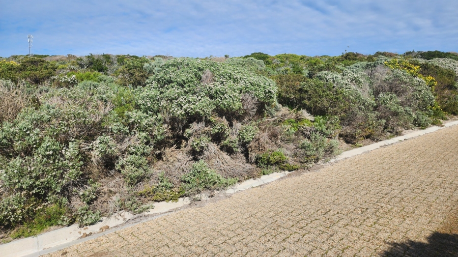 Commercial Property for Sale in Romansbaai Estate Western Cape
